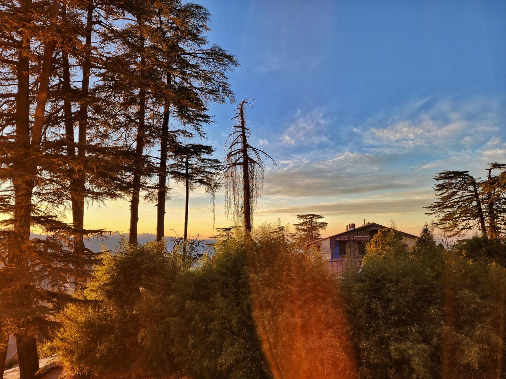 Hotel Pineview شيملا المظهر الخارجي الصورة