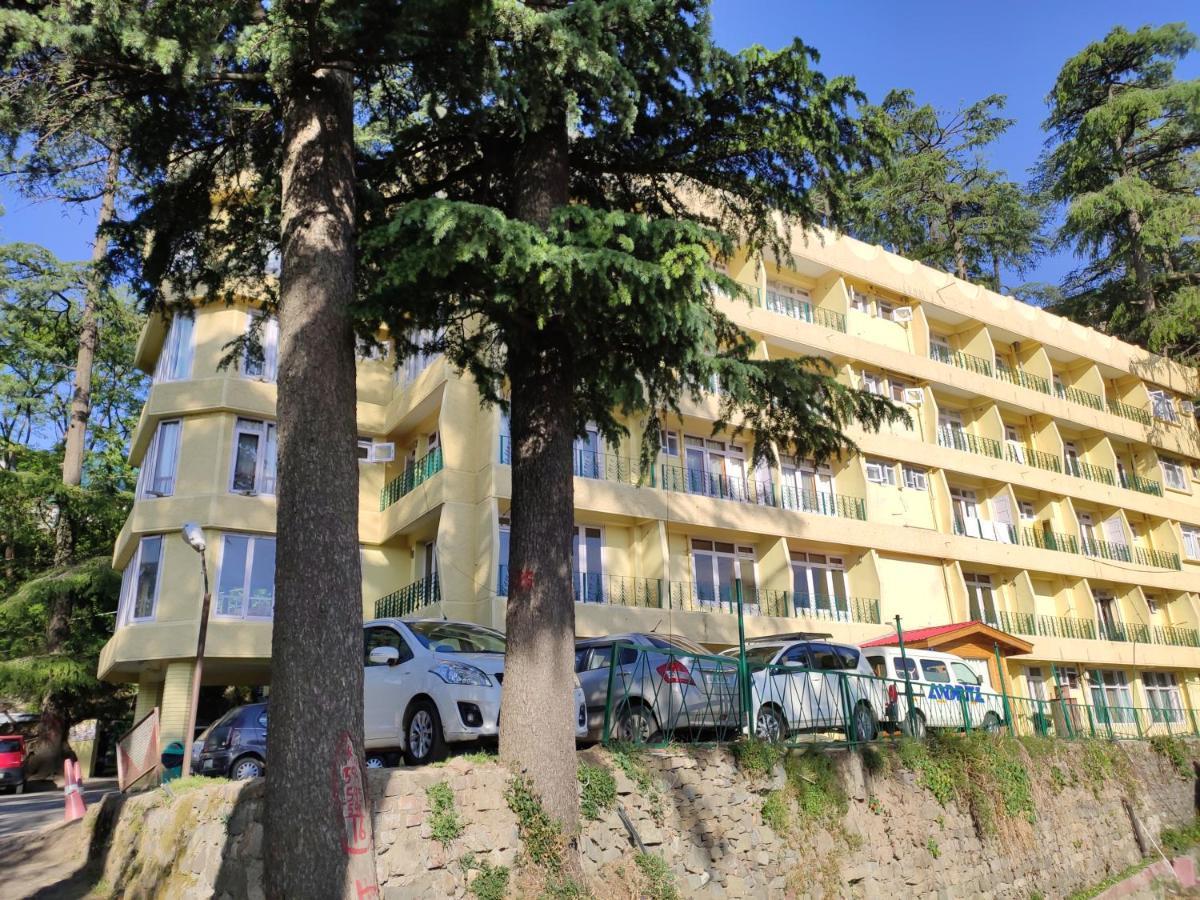 Hotel Pineview شيملا المظهر الخارجي الصورة